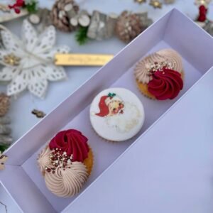 Edible Icing Vintage Santa Clause Face